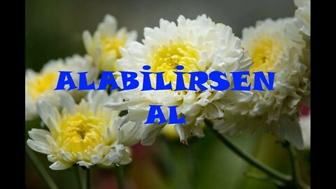 #menkıbe EN GÜZEL MENKIBELERDEN BİR BÖLÜM / "ALABİLİRSEN AL."