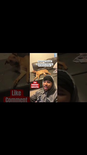 When a cop 👮‍♀️ tells you to hang on… tiktoks shorts jokes reactions #viral #funny