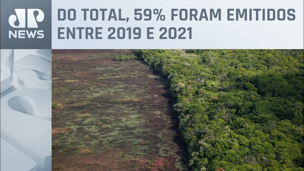 Desmatamento emitiu 96 milhões de toneladas de CO2