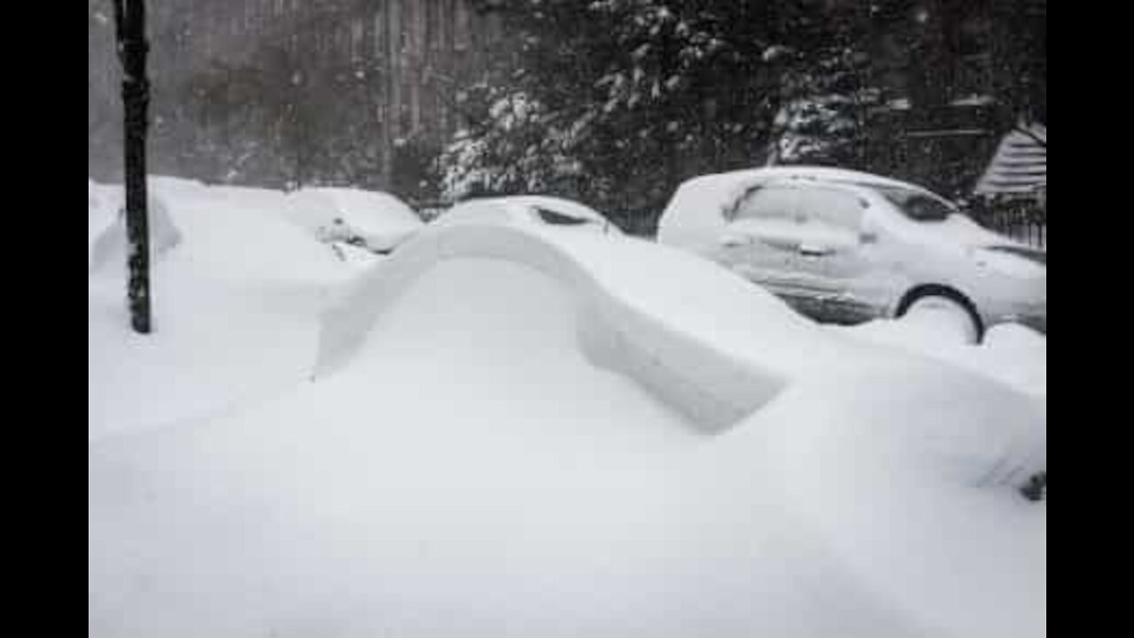 Neve intensa soterra carros em Terra Nova e Labrador, Canadá