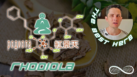 Rhodiola: The High Performance Biohacker’s Herb