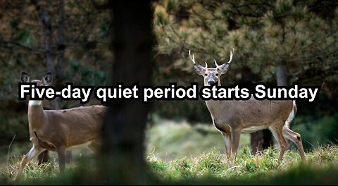 Five-day quiet period starts Sunday