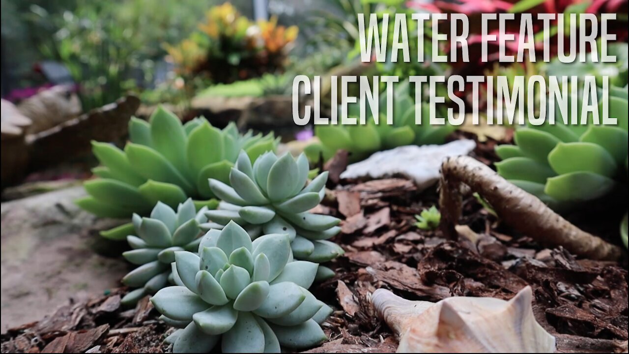 We Love Our Custom Designed Water Garden