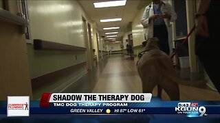 Furry Friends bring smiles to people at TMC