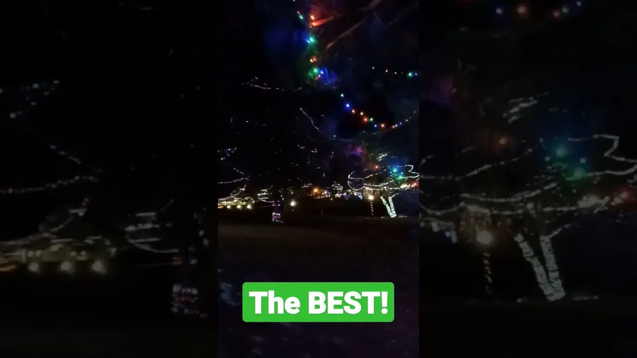We found the BEST Christmas lights. You won't believe where!