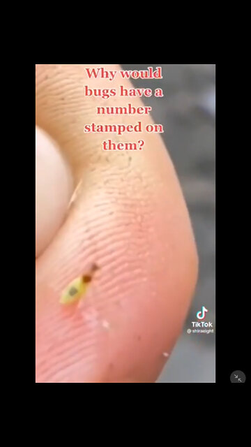Bugs Stamped With Numbers.....