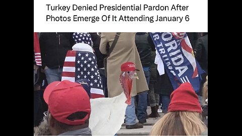 Turkey protests and turkey pardon