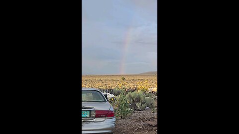 Rare Morning Rainbow