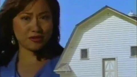 Encounters: UFO hoaxing (June, 1995)