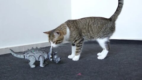 Cat Is Scared by a Dinosaur