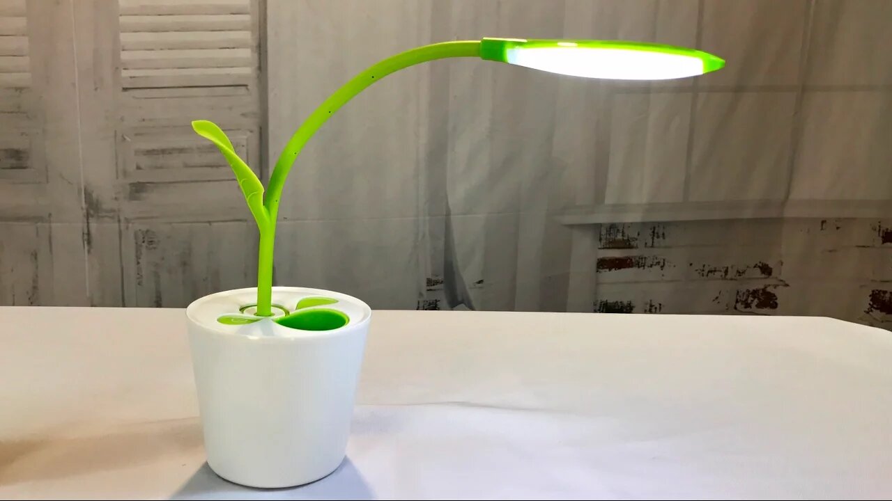 iEGrow Flexible USB Touch LED Desk Lamp with 3-Level Dimmer and Decor Plant Pencil Holder(Green)