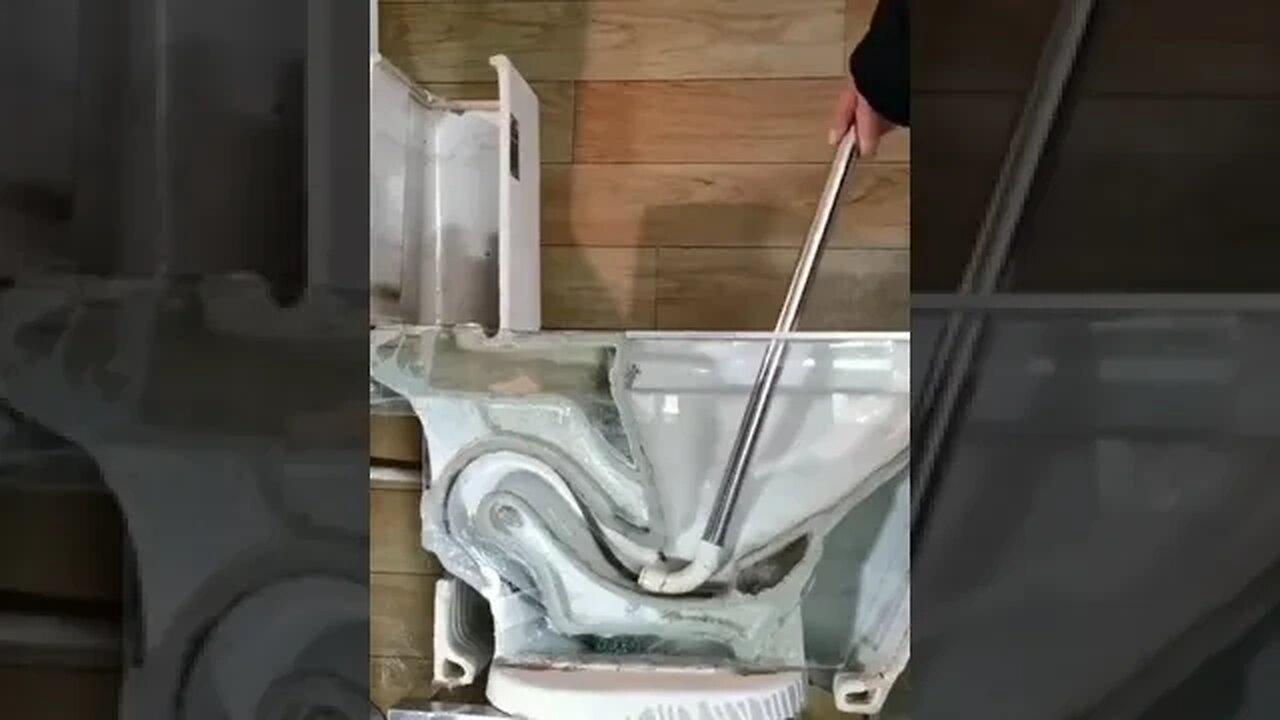 011 Este brasileiro exagerou na genialidade veja