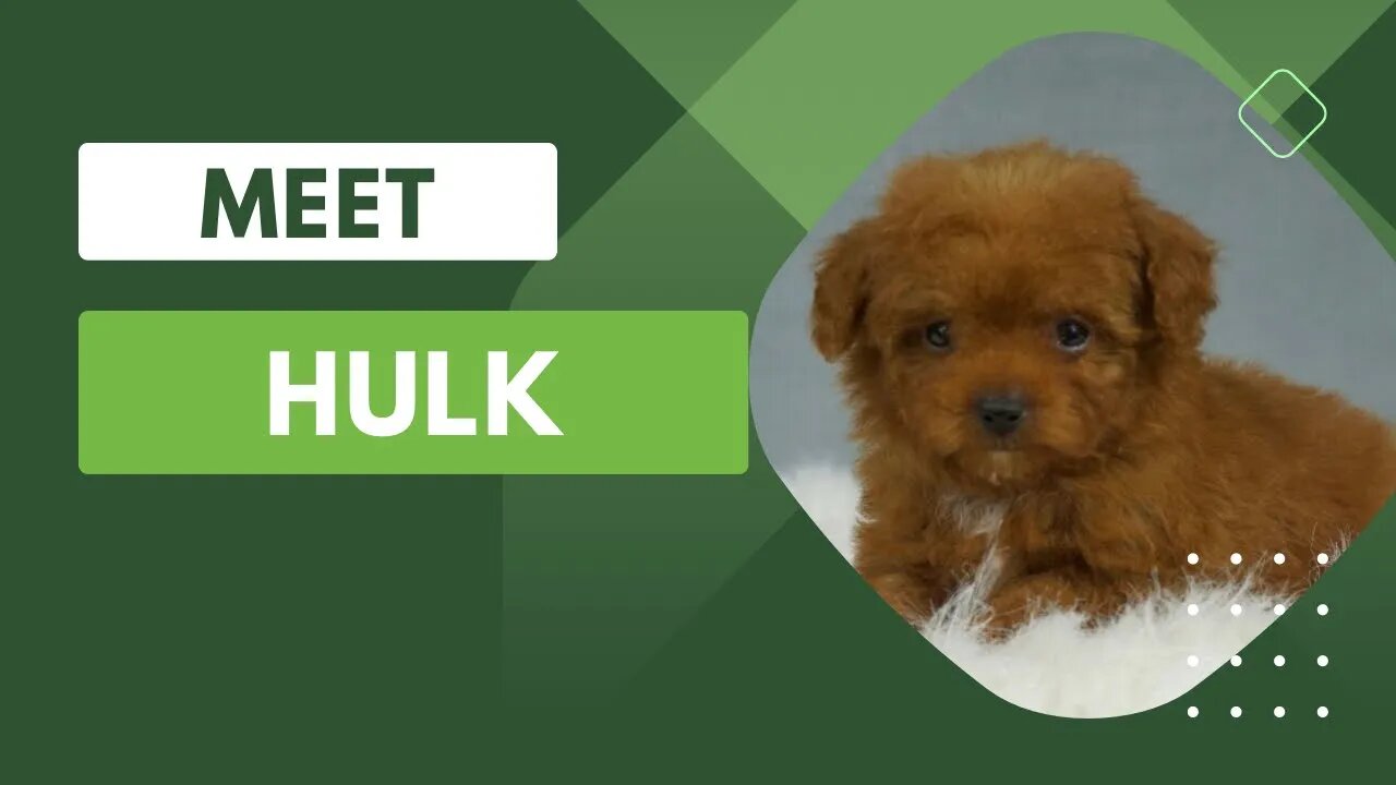 Meet Hulk