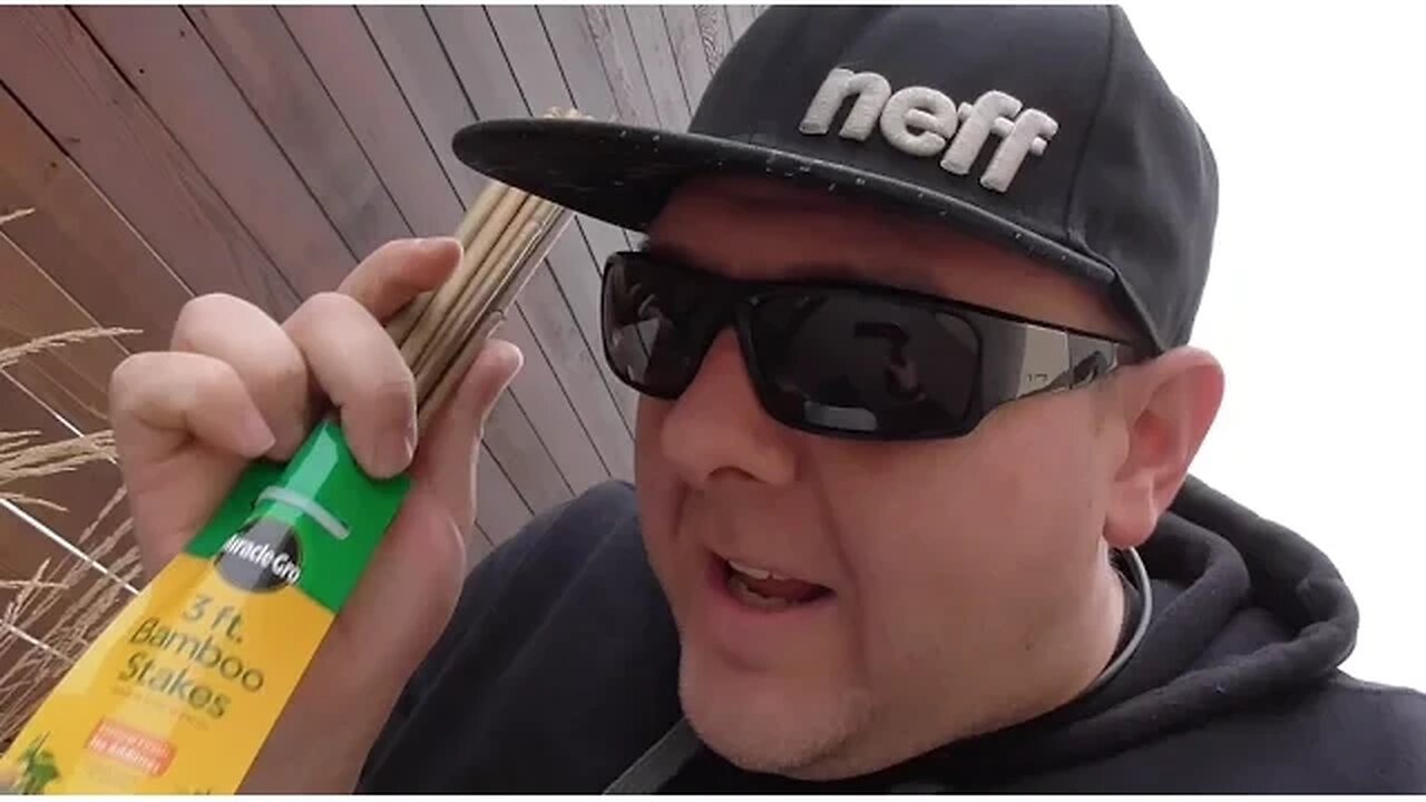 VLOG 145: problem solved!