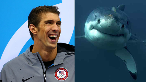 Michael Phelps Trolls EVERYONE for Shark Week