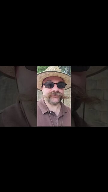 Microsoft Activision Blizzard deal is a go?