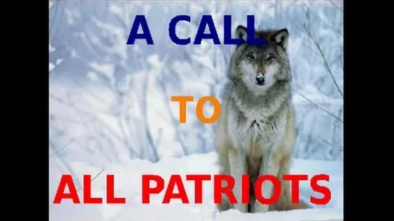 A Call To All Patriots... THE FINAL LINE OF DEFENSE