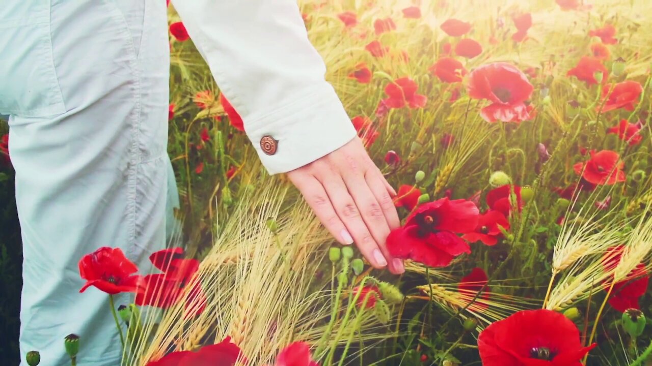 Relaxing Music with Beautiful Nature | Meditation music | Nature HD | Peaceful Piano & Guitar Music