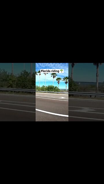 Florida riding is the best riding. #harleydavidson