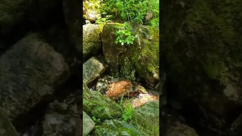 Steall waterfall path stream Scotland