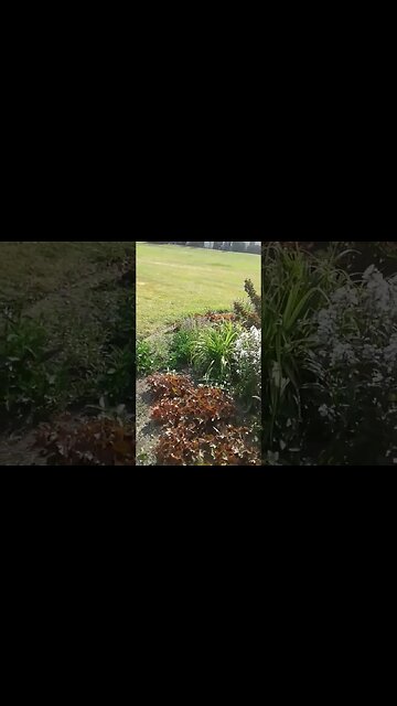 Flower Gardens At Gantz Park