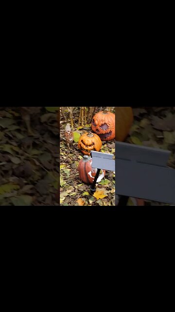 Halloween spooks #halloween #haunted #ghost #metaldetecting #shorts #decoration #chicken #poult