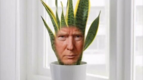 The Ultimate Donald Trump Plant Meme! 🪴