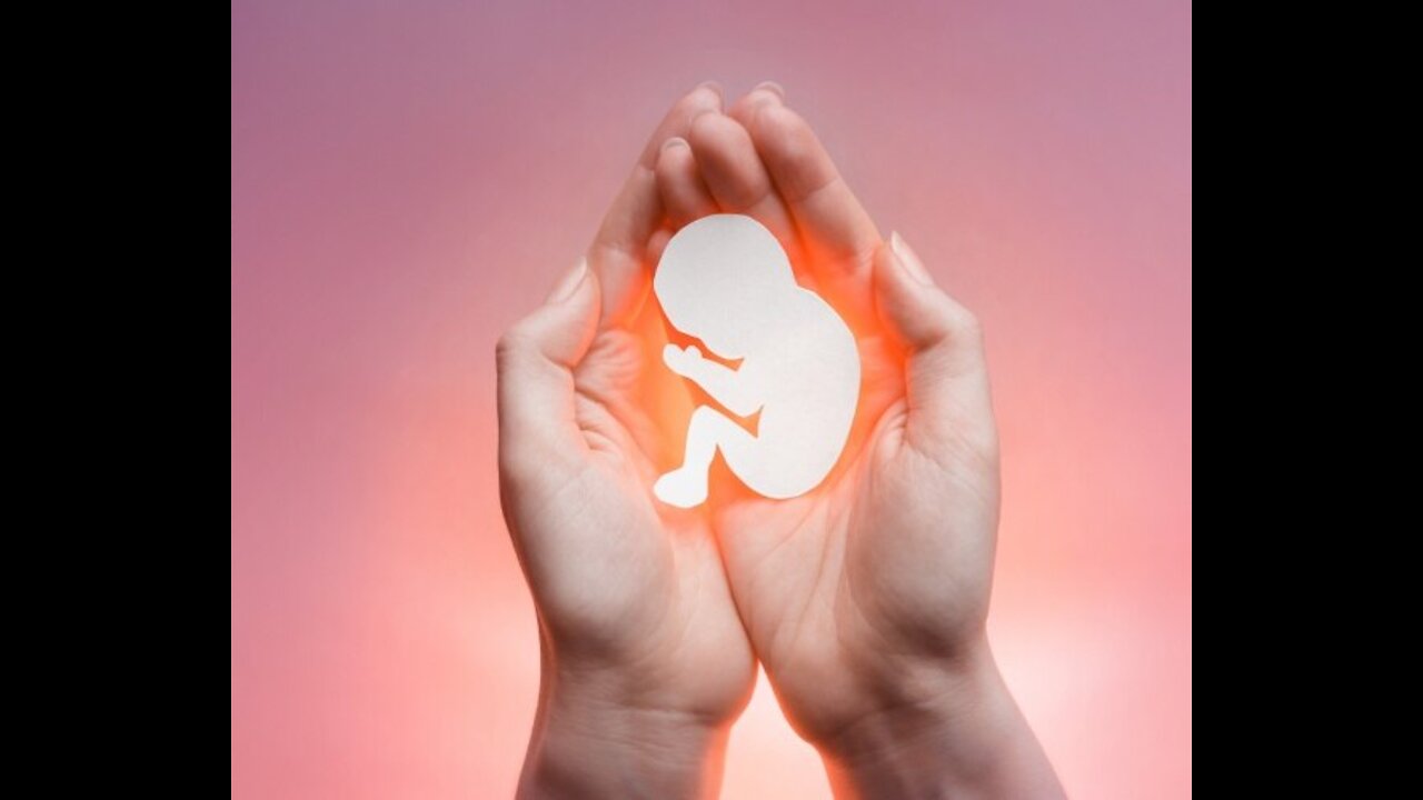 House Hearing on Texas Abortion Law Grows Contentious