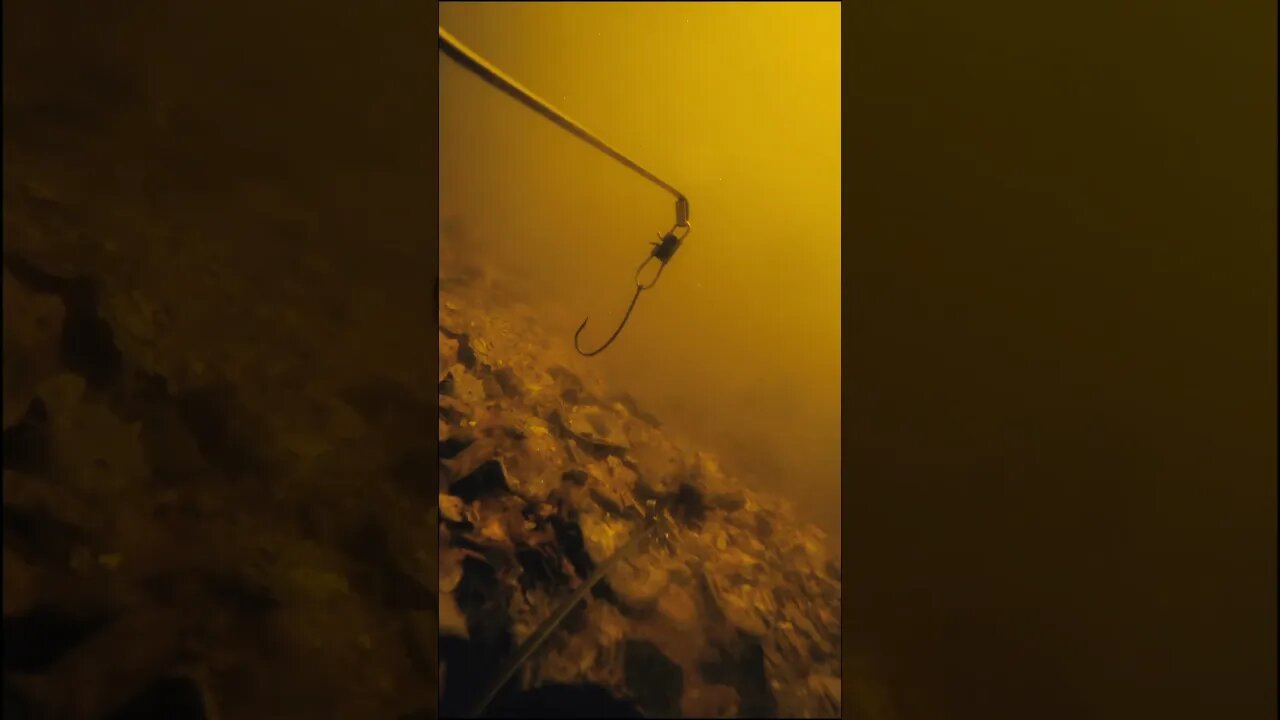 Thats what keeps stealing my bait