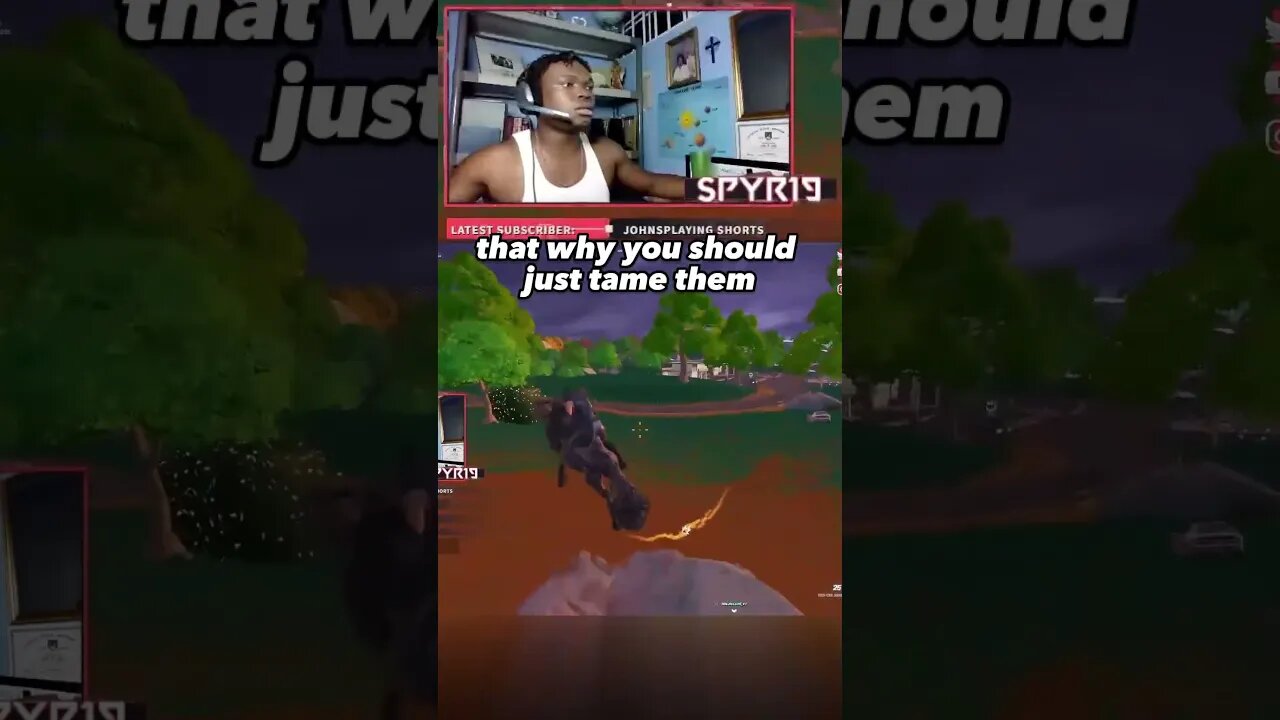 The WOLF 💔 #FortniteWolf #FortniteChapter4 #wolf #fortniteanimals #spiderversefortnite