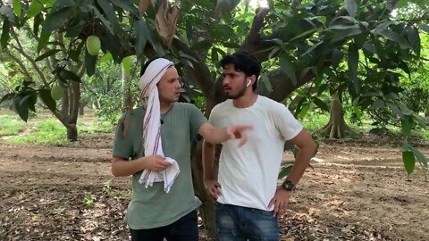 Laddan Vlog 1 How Dasheri Bhai Become The Owner of Mango Farm ?