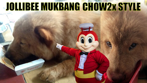 Chow Chow pup loves to eat Jollibee spaghetti every single day