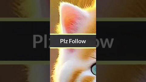 sharikaan wich na shamil #viral #trending #earnmoneyonline #song #saraiki