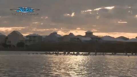 Alabama Winter Fishing & TransparentSea S01E06 Hobie Outdoor Adventures !!!!! 15