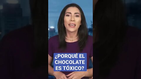 Véalo aquí @AlDescubierto-ElinaVillafane