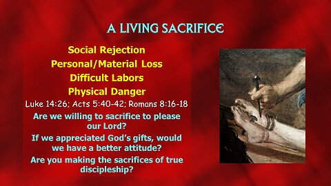 Video Bible Study: The Cost of Discipleship