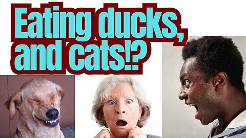 Too many immigrants, not enough ducks and cats??