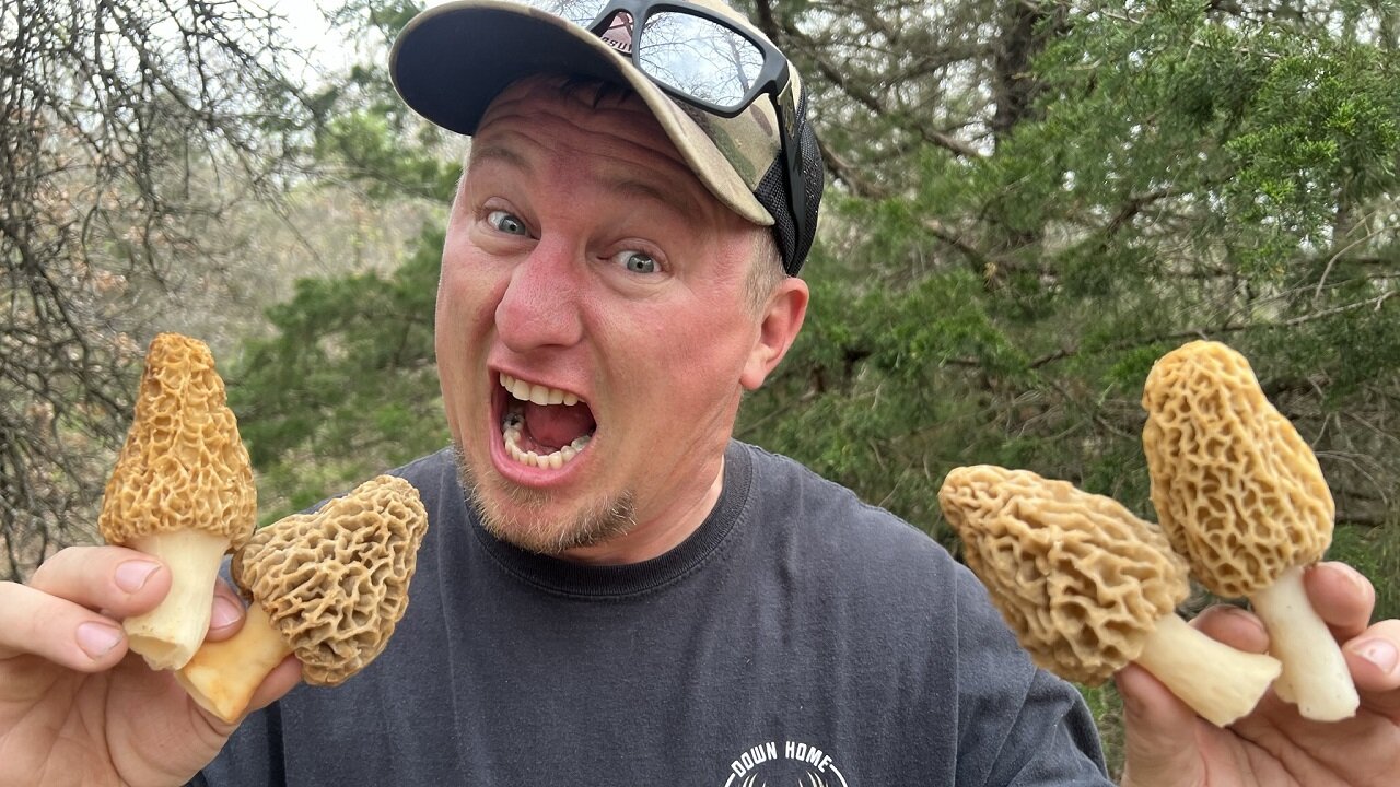 WILD MUSHROOM HUNTING! MOREL MUSHROOMS