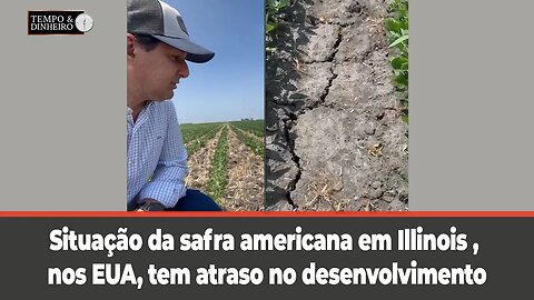 Situação da safra americana de soja em Illinois , nos EUA, tem atraso no desenvolvimento.