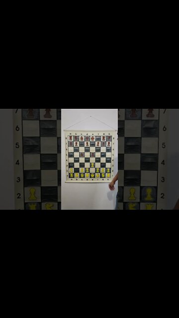 What is the Birmingham Gambit in Chess?