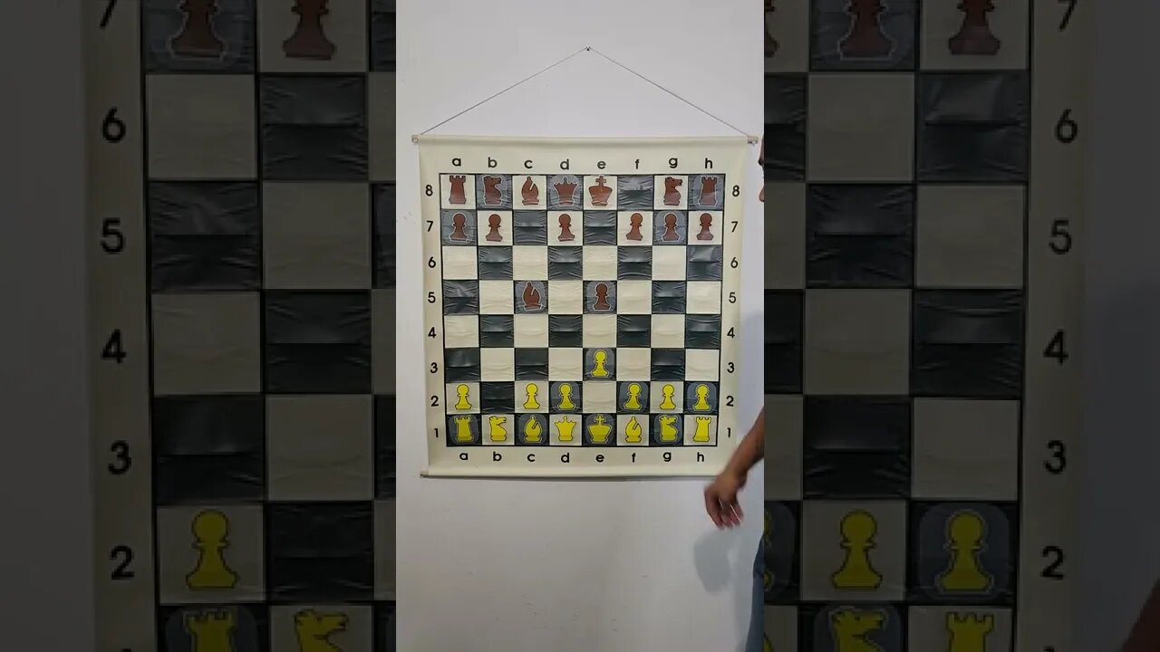 What is the Birmingham Gambit in Chess?