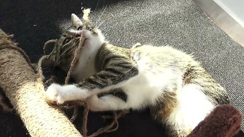 This Rope Is so Tasty