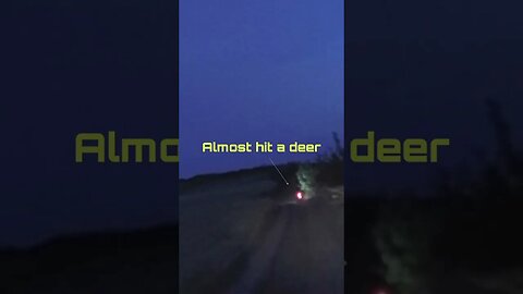 Nearly hit a deer with the motorcycle at night #shorts #enduro #romania #motocerbii