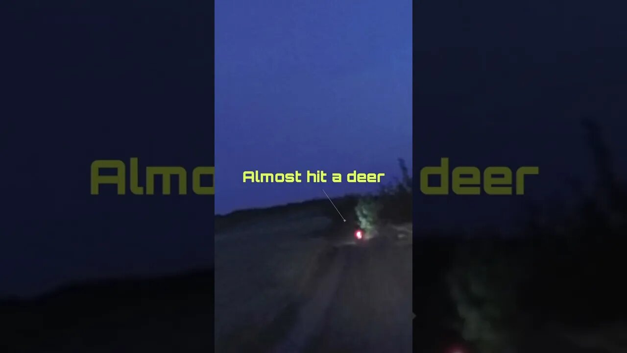 Nearly hit a deer with the motorcycle at night #shorts #enduro #romania #motocerbii