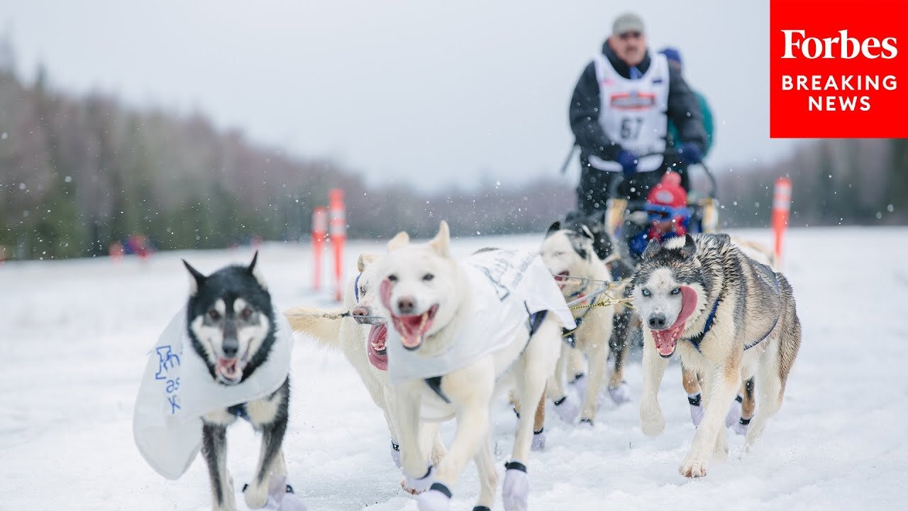 Murkowski Has Glowing Praise For Winner Of This Year's Iditarod - The Famous Alaska Sled Dog Race