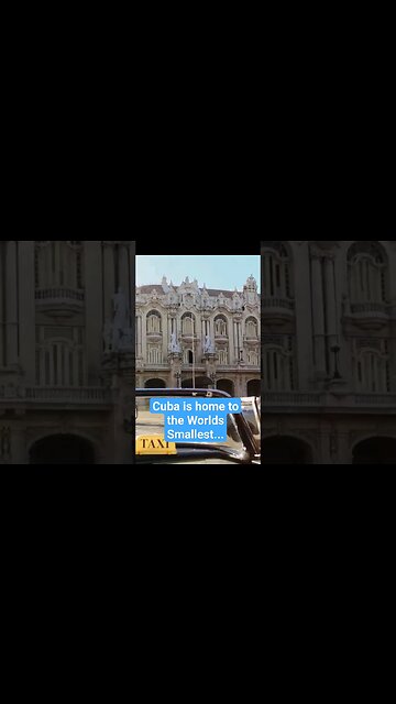 🇨🇺 Country FUN facts about Cuba Caribbean #shorts