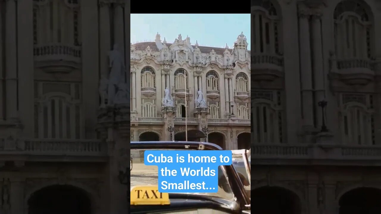 🇨🇺 Country FUN facts about Cuba Caribbean #shorts