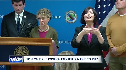 First Cases of COVID-19 identified