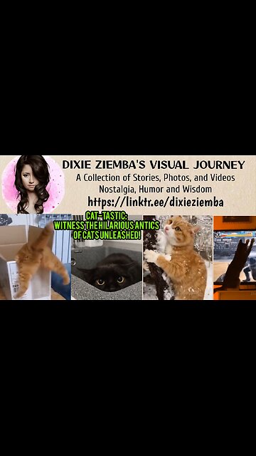 Cat-tastic: Witness the Hilarious Antics of Cats Unleashed!