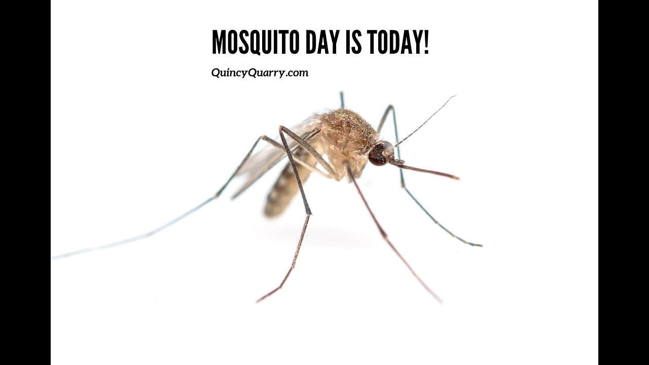 Mosquito Day Is Today!